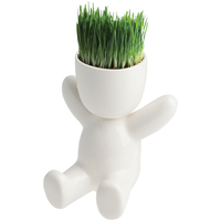 Заказать Набор для выращивания Funky Kid