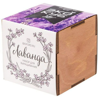 Заказать Набор для выращивания «Экокуб Lite», лаванда