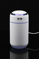 Заказать Настольный увлажнитель воздуха с подсветкой DH07, белый