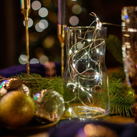 Заказать Гирлянда Pixies, светодиодная