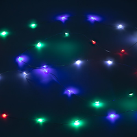 Заказать Гирлянда музыкальная Carols, светодиодная